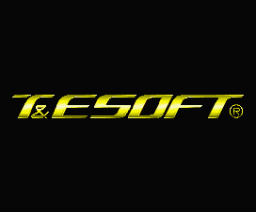 T&ESOFT Logo