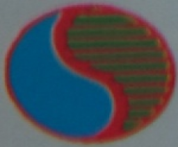 Saeron Logo