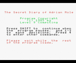 The Secret Diary of Adrian Mole Aged 13¾ (1985, MSX, Level 9 Computing)