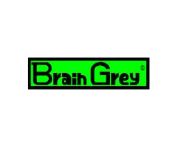 Brain Grey Logo