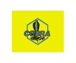 Cobra Soft Logo