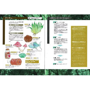 Page 12-13
