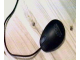 Image for M-31 EGG Mouse