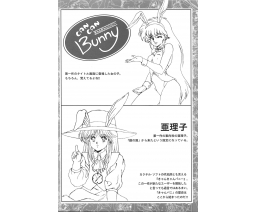 きゃんきゃんバニー設定資料集 Can Can Bunny Official Art Book - Compass