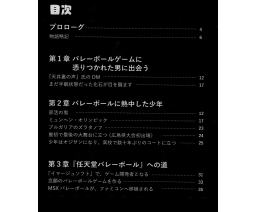 バレーボールゲームをめぐる本当の話 / The Real Story Behind the Volleyball Game - Habit Soft