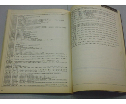 MSX2大研究 / Big Research on MSX2 - ASCII Corporation