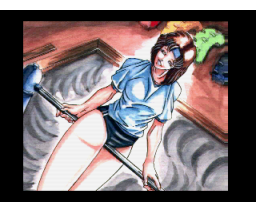 Natural Picture CG Collection: Physical Education Girl  (MSX2+, 3.5inchDo)