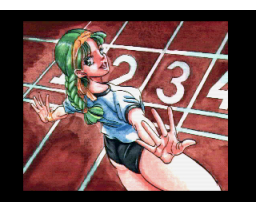 Natural Picture CG Collection: Physical Education Girl  (MSX2+, 3.5inchDo)