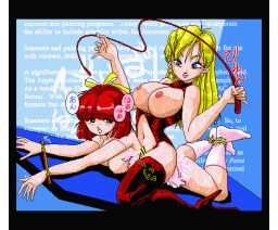 BANZAI.3: Original Weird Computer Graphics Collection (1994, MSX2, 3.5inchDo)