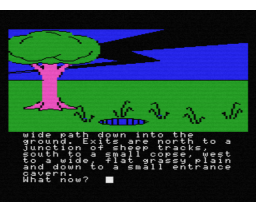 Red Moon (1985, MSX, Level 9 Computing)