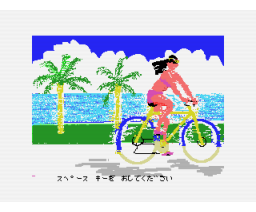 Com Intex Personal Computer Course (1988, MSX2, Com Intex)