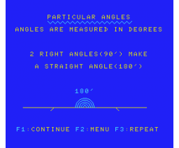 Angles (MSX, Mentor Educational Services Ltd., Ian Williams)