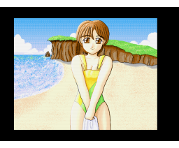 Summer Dream (1993, MSX2, 3.5inchDo)