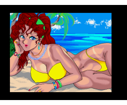 Summer Dream (1993, MSX2, 3.5inchDo)