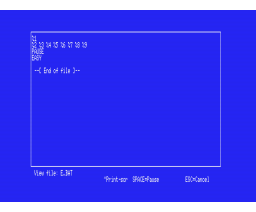 SDOS 2.2 (1992, MSX2, Juan Salas)