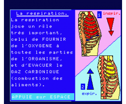 Disk Educatif 2 (MSX2, R. Ermini, P. Villers)