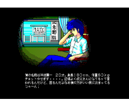 Pension Story: Flower Kiyosato (1988, MSX2, Panther Software, Adult Inn)