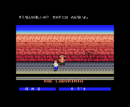 Labyrinth: The Computer Game (1987, MSX2, Pack-In-Video)