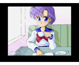 CG Gallery Vol. 2 Pretty Guardian Sailor Moon Edition (1993, MSX2, Woodsoft, Mai-Chan Kikaku)