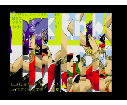 Puzzle Game Nadia Special Skip! (1990, MSX2, 3.5inchDo)
