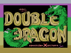 Image for Double Dragon