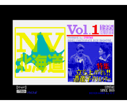 NV Hokkaido #1 (1995, MSX2, Syntax)