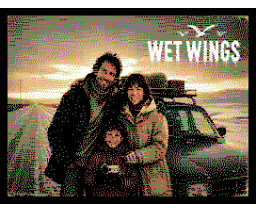 Wet Wings (2026, MSX, DaReInt)