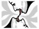 Image for Muijja